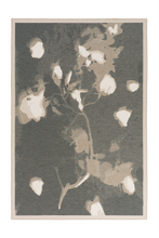 Load image into Gallery viewer, SKADUS STONE