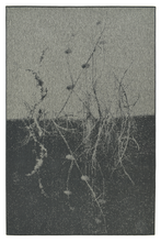 Load image into Gallery viewer, GRASS SLATE