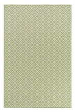 Load image into Gallery viewer, MBINGA MOSS