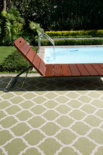 Load image into Gallery viewer, LATTICE MOSS