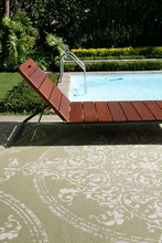 Load image into Gallery viewer, POLETTI MOSS