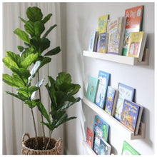 Load image into Gallery viewer, Picture Ledge