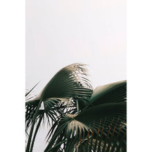 Load image into Gallery viewer, Poster Print - Adrienne Leonard Palms