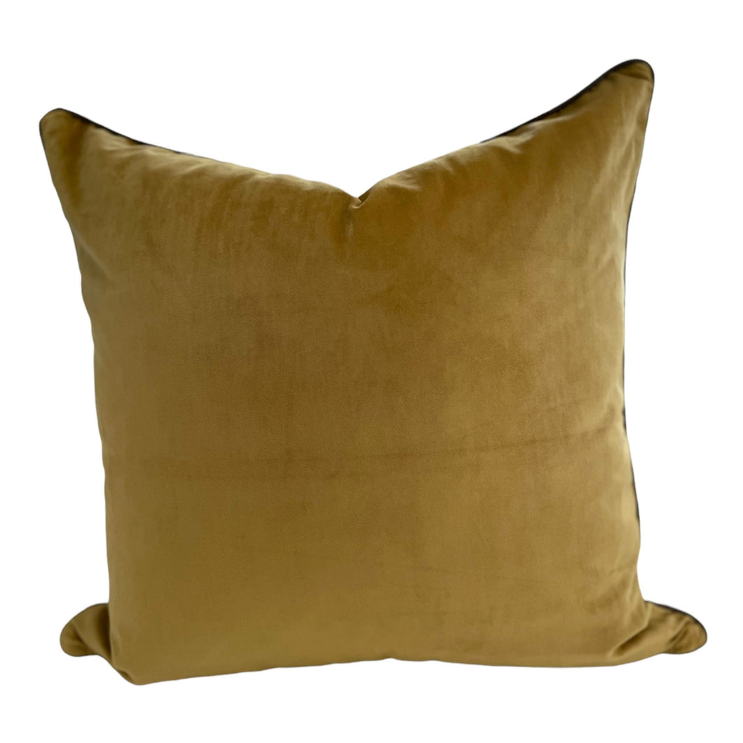 Gold with Donkey contrast piping